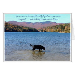 Black Lab Sympathy Card - Dog Sympathy - Pet Loss