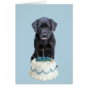 Black Lab Toutes les Occasions Carte - Chig Cake A