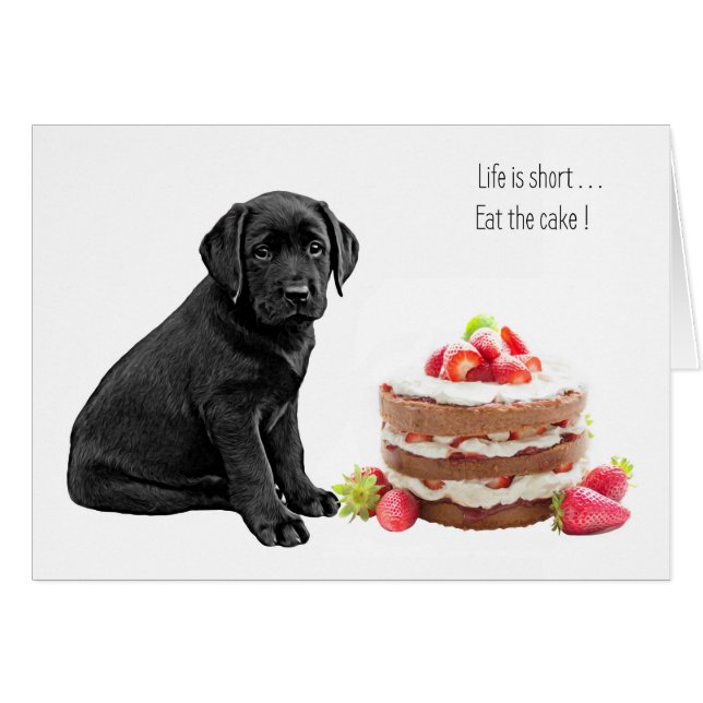 Black Lab Toutes les Occasions Carte - Chig Cake A (Devant horizontal)