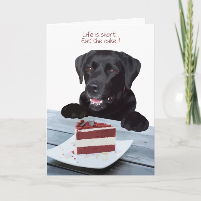 Black Lab Toutes les Occasions Carte - Chig Cake A (Devant)