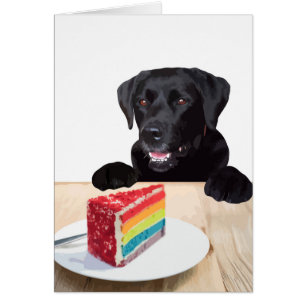 Black Lab Toutes les Occasions Carte - Chig Cake A