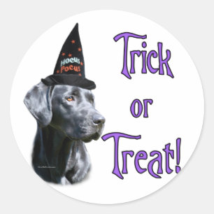 Black Lab Trick Sticker