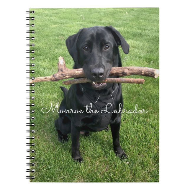 Black Lab with two sticks Dog Photo and Name Notebook (Front)