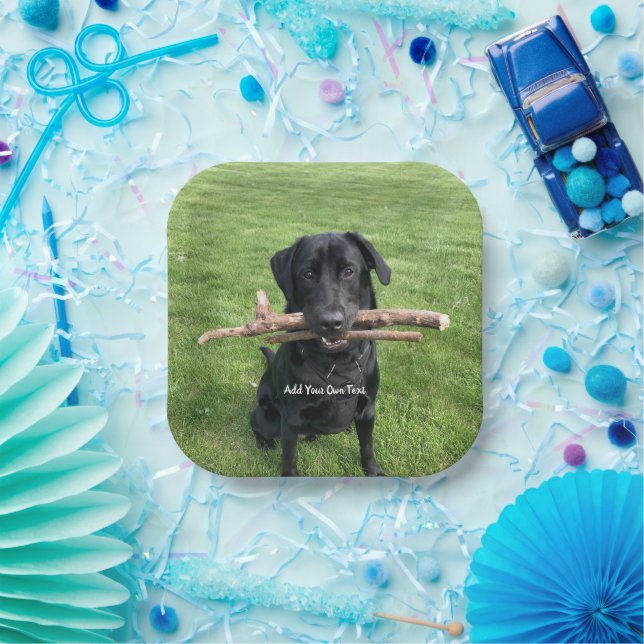 Black Lab with two sticks Dog Photo and Name Paper Plate (Party)