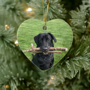Black Lab with two sticks Dog Photo Ceramic Ornament