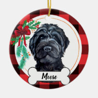 Black Labradoodle / Black Goldendoodle