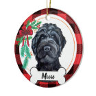 Black Labradoodle / Black Goldendoodle