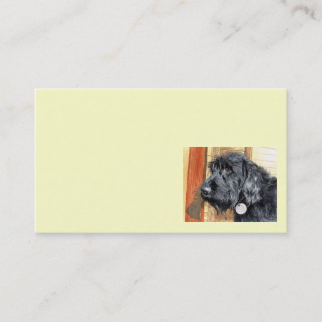 Black Labradoodle Business Cards (Front)