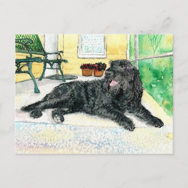Black Labradoodle Postcard (Front)