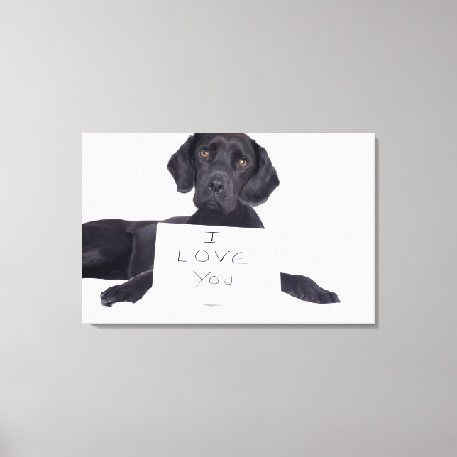 Black Labrador 13 Months Canvas Print (Front)