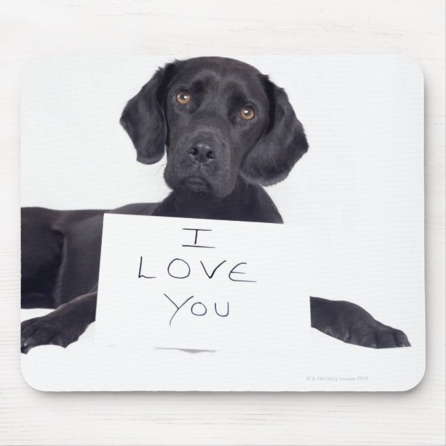 Black Labrador 13 Months Mouse Pad (Front)
