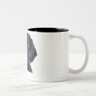 Black Labrador 13 Months Two-Tone Coffee Mug