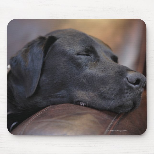 Black labrador asleep on sofa, close-up mouse pad (Front)