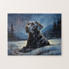 Black Labrador at winter night