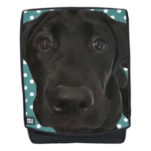 black lab backpack