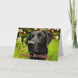 Black Labrador birthday card