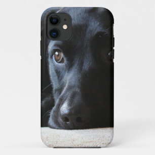 Black Labrador iPhone 11 Case