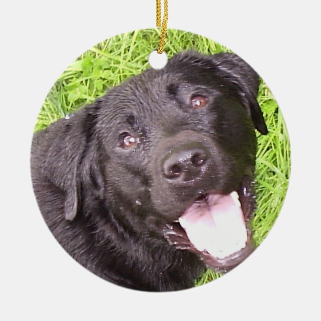Black Labrador Ceramic Ornament (Front)
