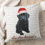 Black Labrador Christmas Puppy Throw Pillow<br><div class="desc">Decorate your home this holiday season with this adorable Santa dog Merry Christmas Black Labrador Christmas pillow and matching decor . This black labrador christmas pillow will be a favourite among labrador lovers. Visit our collection for matching black lab christmas cards, home decor, and gifts. COPYRIGHT © 2020 Judy Burrows,...</div>