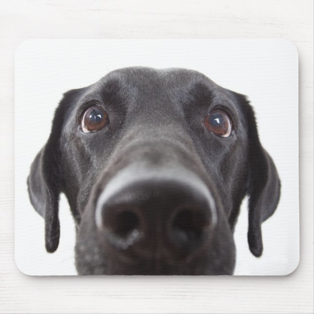 Black Labrador Closeup Portrait Mouse Pad (Front)