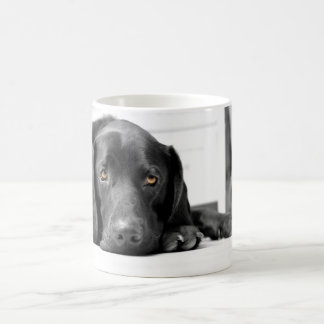 Black Labrador Coffee Mug