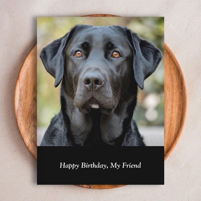Black Labrador, Custom Photo Postcard (Black Labrador, Custom Photo Postcard)