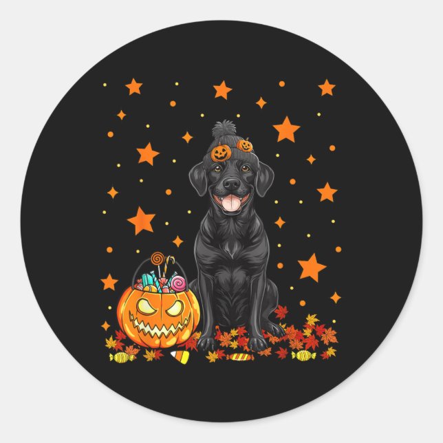 Black Labrador Dog And Pumpkin Candy Funny Classic Round Sticker (Front)