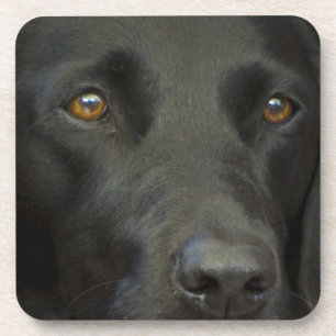 Black Labrador Dog Coaster