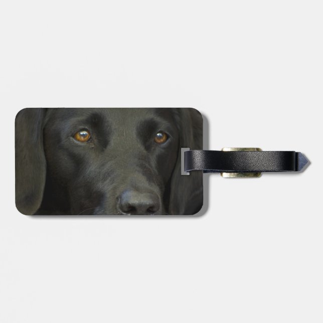 Black Labrador Dog Luggage Tag (Back Horizontal)