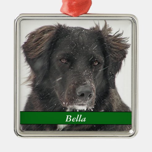 Black Lab Gifts on Zazzle CA