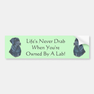black labrador dog portrait original fun slogan bumper sticker