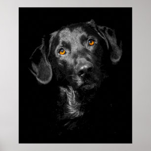 Black Labrador Dog Poster Canvas Imprimer Inspirat