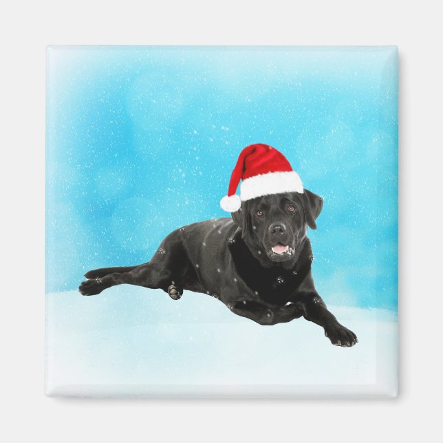 Black Labrador Dog Sitting in Snow Christmas Magnet (Front)