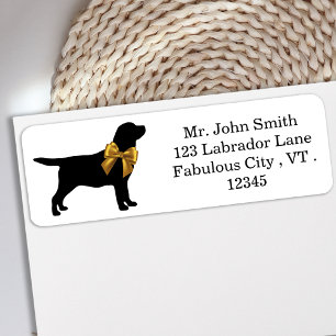 Black Labrador - Elegant mignon chien Black Gold