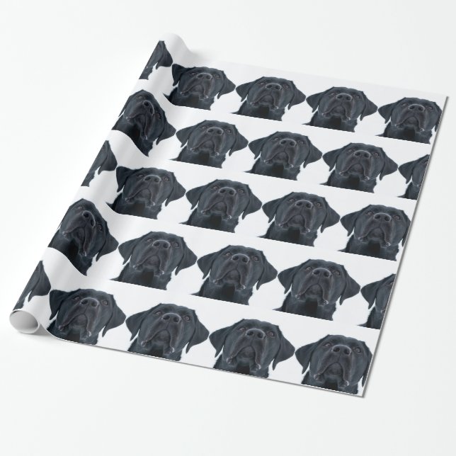 Black Labrador Facing Wrapping Paper (Unrolled)