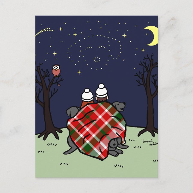 Black Labrador Family and Starry Sky Postcard (Front)