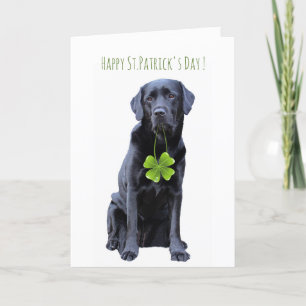 Black Labrador Four Leaf Clover St.Patrick's Day Holiday Card