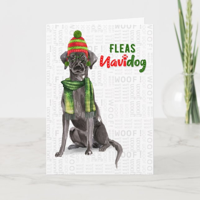 Black Labrador Funny Fleas Navidog Christmas Holid Holiday Card (Front)