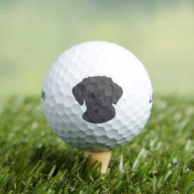 Black Labrador Golf Balls (Insitu Tee)