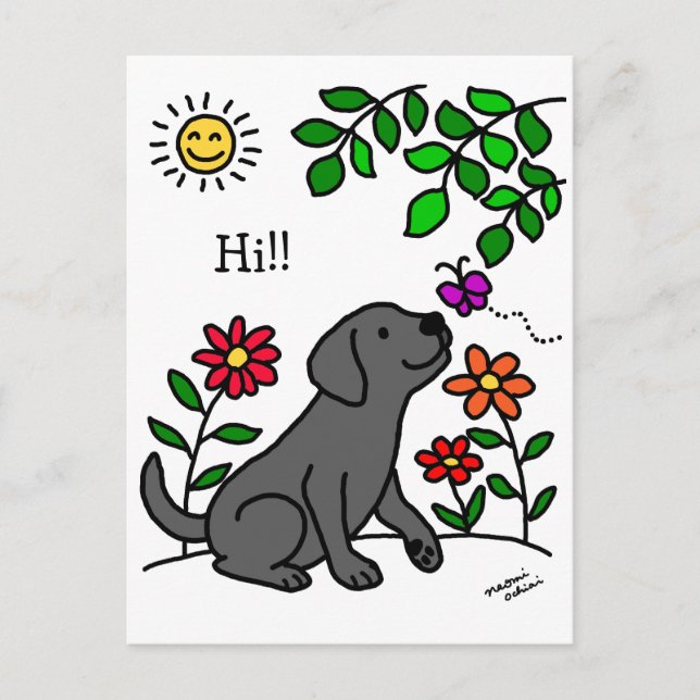 Black Labrador & Green Postcard (Front)