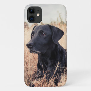 Black Labrador In Dry Grass iPhone 11 Case
