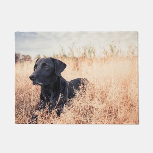 Black Labrador In Dry Grass Doormat (Front)