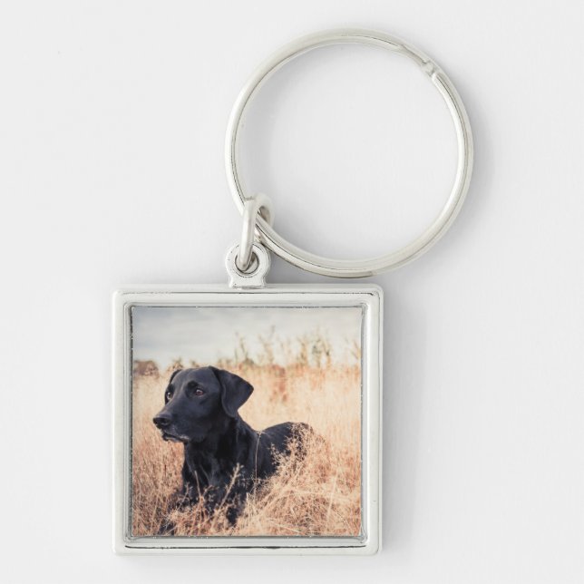 Black Labrador In Dry Grass Keychain (Front)