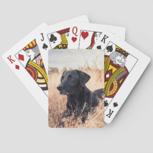 Black Labrador In Dry Grass Playing Cards