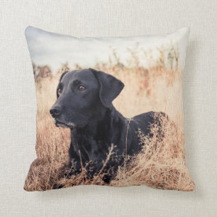 Black Labrador In Dry Grass Throw Pillow