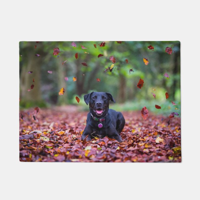 Black Labrador In Fall Leaves Doormat (Front)