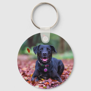 Black Labrador In Fall Leaves Keychain