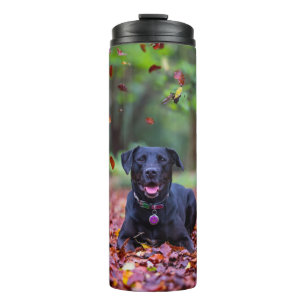 Black Labrador In Fall Leaves Thermal Tumbler