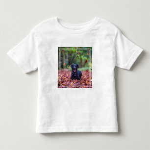 Black Labrador In Fall Leaves Toddler T-shirt