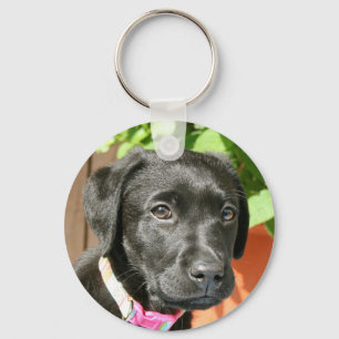 Black Labrador Key Chain
